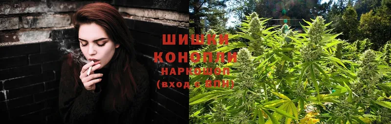 магазин продажи наркотиков  blacksprut сайт  Шишки марихуана Ganja  Багратионовск 